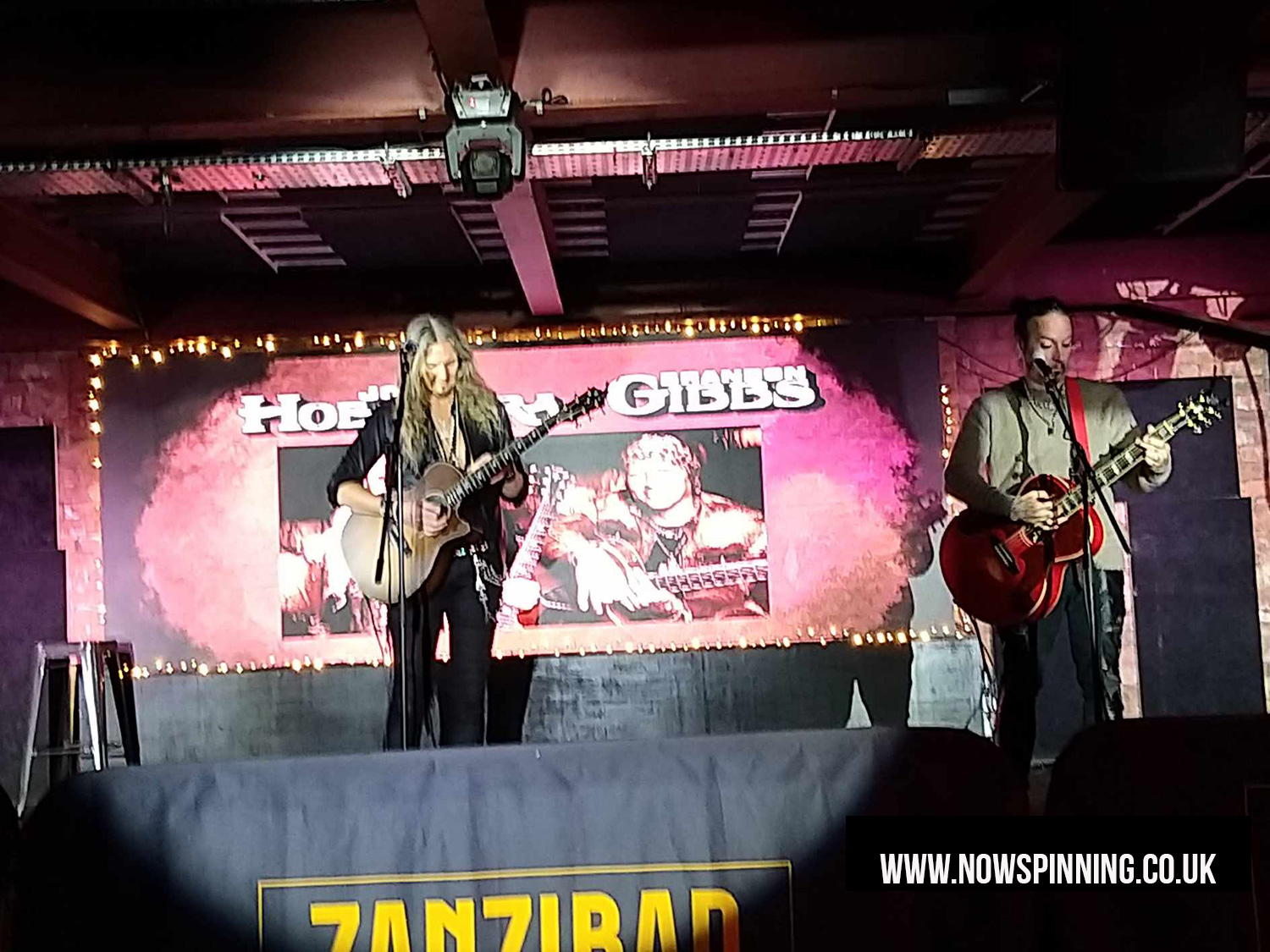 JOEL HOEKSTRA/BRANDON GIBBS Live Review